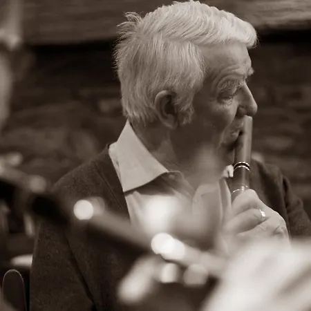 Mills 3* Ballyvourney