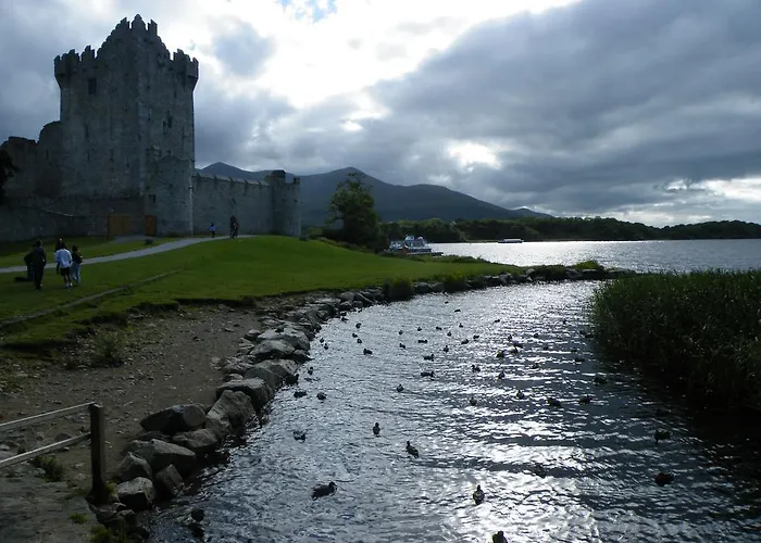 Mills 3* Ballyvourney